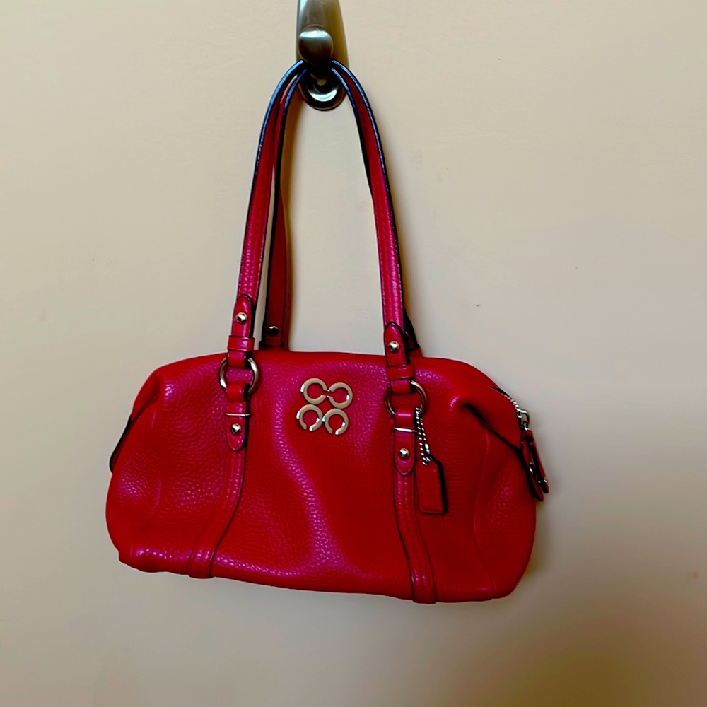 Coach bag-small